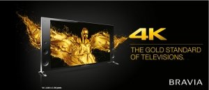 bravia home theater speakers wireless automation